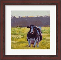 Framed Fat Cow in the Field
