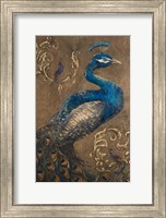 Framed Pershing Peacock I