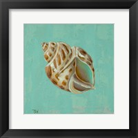 Ocean's Gift II Framed Print