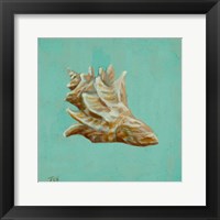 Ocean's Gift IV Framed Print