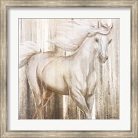 Framed Horse on Grass Abstract
