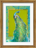 Framed Peacock Daze I