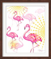 Framed Vision of Flamingos