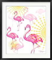 Framed Vision of Flamingos