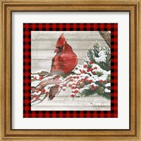 Framed 'Winter Red Bird III' border=