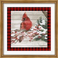 Framed Winter Red Bird III