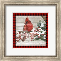 Framed 'Winter Red Bird III' border=