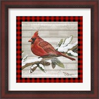 Framed 'Winter Red Bird IV' border=