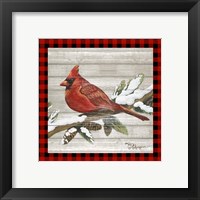 Framed 'Winter Red Bird IV' border=