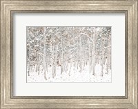 Framed White Snow Wonderland