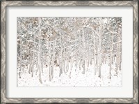 Framed White Snow Wonderland