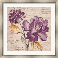 Framed Lilac Beauty II