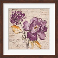 Framed Lilac Beauty II