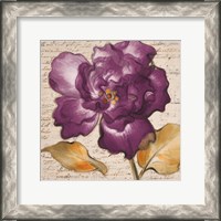 Framed Lilac Beauty I
