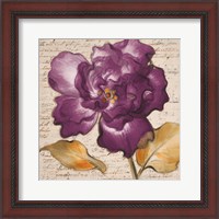 Framed 'Lilac Beauty I' border=