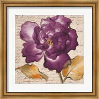 Framed Lilac Beauty I