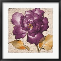 Framed Lilac Beauty I