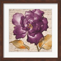 Framed 'Lilac Beauty I' border=
