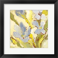 Begonia Bleu I Framed Print