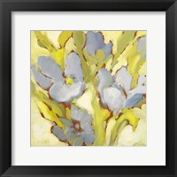 Framed Begonia Bleu II