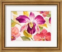 Framed Radiant Orchid I