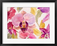 Framed Radiant Orchid II