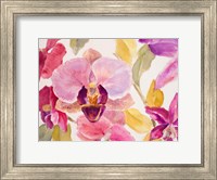 Framed Radiant Orchid II