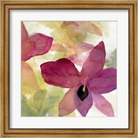 Framed Beautiful and Peace Orchid II
