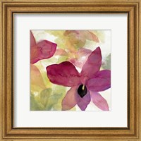 Framed 'Beautiful and Peace Orchid II' border=