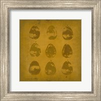 Framed All Lined Up- Pears