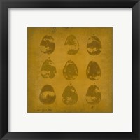 Framed 'All Lined Up- Pears' border=