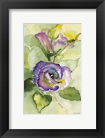 Framed Watercolor Lavender Floral II