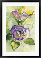 Framed Watercolor Lavender Floral II
