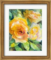 Framed Yellow Roses Garden