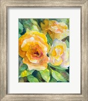 Framed Yellow Roses Garden