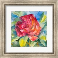 Framed Crimson Peony