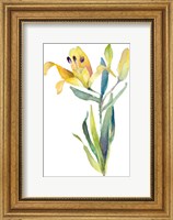 Framed Yellow Lily