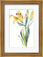 Framed Yellow Lily