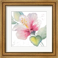 Framed Fragrant Hibiscus II