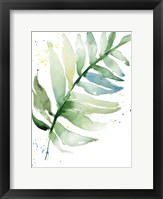 Swaying Palm Fronds II Framed Print