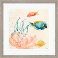 Framed Tropical Teal Coral Medley II