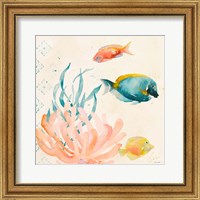 Framed 'Tropical Teal Coral Medley II' border=