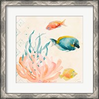 Framed 'Tropical Teal Coral Medley II' border=