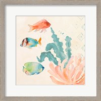 Framed Tropical Teal Coral Medley I