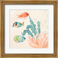 Framed Tropical Teal Coral Medley I