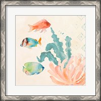 Framed Tropical Teal Coral Medley I