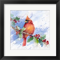 Framed Cardinal on Holly Branch