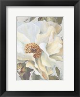 Framed White Peony and Buds