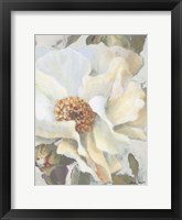 Framed White Peony and Buds