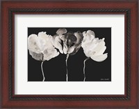Framed Trio in Light on Black